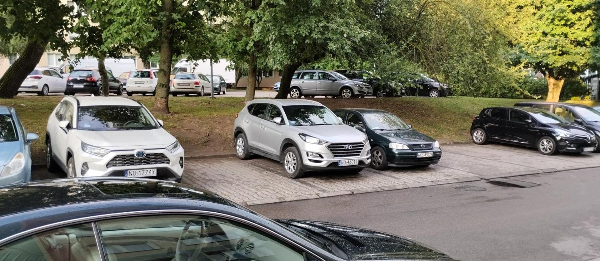 Apartament Z Baldachimem I Pieknym Widokiem Olsztyna Opolznevoye Bagian luar foto